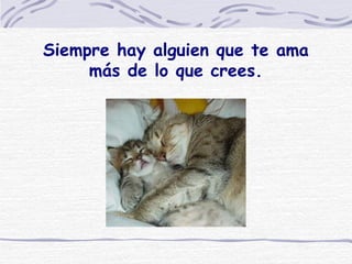 Siempre hay alguien que te ama más de lo que crees. 