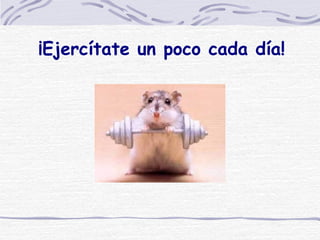 ¡Ejercítate un poco cada día! 