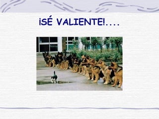 ¡SÉ VALIENTE!.... 