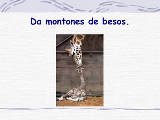 Da montones de besos. 
