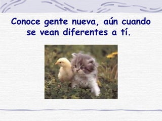 Conoce gente nueva, aún cuando se vean diferentes a tí.  