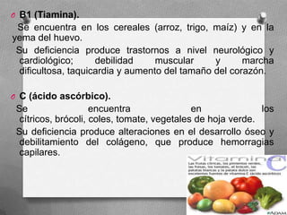 O B1 (Tiamina).
Se encuentra en los cereales (arroz, trigo, maíz) y en la
yema del huevo.
Su deficiencia produce trastornos a nivel neurológico y
cardiológico; debilidad muscular y marcha
dificultosa, taquicardia y aumento del tamaño del corazón.
O C (ácido ascórbico).
Se encuentra en los
cítricos, brócoli, coles, tomate, vegetales de hoja verde.
Su deficiencia produce alteraciones en el desarrollo óseo y
debilitamiento del colágeno, que produce hemorragias
capilares.
 