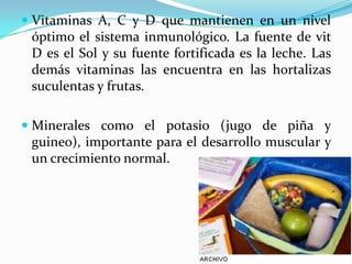  Vitaminas A, C y D que mantienen en un nivel
óptimo el sistema inmunológico. La fuente de vit
D es el Sol y su fuente fortificada es la leche. Las
demás vitaminas las encuentra en las hortalizas
suculentas y frutas.
 Minerales como el potasio (jugo de piña y
guineo), importante para el desarrollo muscular y
un crecimiento normal.
 