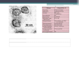 VHC.Es de la familia Flaviridae del genero Hepacivirus, es un virus RNA- cadena positiva.El periodo de incubación es de 6 a 7 semanas , el tiempo promedio desde la exposición hasta la seroconversión es de 8 a 9 semanas.El VHC también se relaciona con crioglobulinemia y glomerulonefritis mixta.RJ