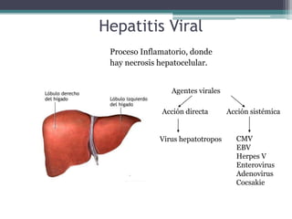Hepatitis Viral                                              Proceso Inflamatorio, donde                                               hay necrosis hepatocelular.              Agentes virales   Acción directa Acción sistémica CMV EBV Herpes V Enterovirus Adenovirus Cocsakie Virus hepatotropos 