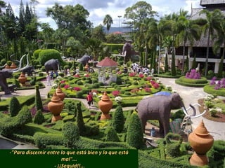 -"Para discernir entre lo que está bien y lo que está-"Para discernir entre lo que está bien y lo que está
mal"...mal"...
- ¡¡Seguid!!...- ¡¡Seguid!!...
 