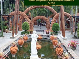 Cuando no defendemos nuestros derechos perdemos laCuando no defendemos nuestros derechos perdemos la
dignidad,dignidad,
y la dignidad no se negociay la dignidad no se negocia
 