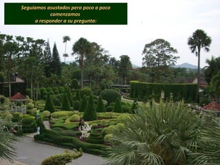 Seguíamos asustados pero poco a pocoSeguíamos asustados pero poco a poco
comenzamoscomenzamos
a responder a su pregunta:a responder a su pregunta:
 