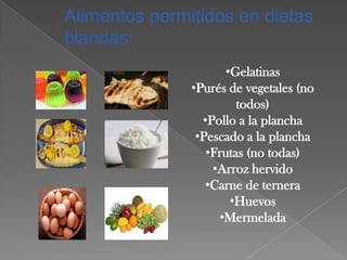•Gelatinas
•Purés de vegetales (no
todos)
•Pollo a la plancha
•Pescado a la plancha
•Frutas (no todas)
•Arroz hervido
•Carne de ternera
•Huevos
•Mermelada

 