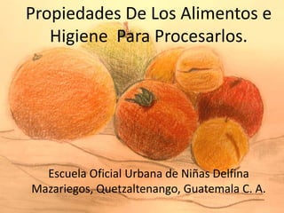 Propiedades De Los Alimentos e Higiene  Para Procesarlos. Escuela Oficial Urbana de Niñas Delfina Mazariegos, Quetzaltenango, Guatemala C. A. 