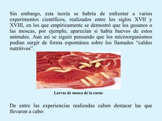 Sin embargo, esta teoría se habría de enfrentar a varios
experimentos científicos, realizados entre los siglos XVII y
XVIII, en los que empíricamente se demostró que los gusanos o
las moscas, por ejemplo, aparecían si había huevos de estos
animales. Aun así se siguió pensando que los microorganismos
podían surgir de forma espontánea sobre los llamados “caldos
nutritivos”.
De entre las experiencias realizadas caben destacar las que
llevaron a cabo:
Larvas de mosca de la carne
 