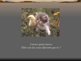 Conoce gente nueva. Ellos ven las cosas diferente que tu !!