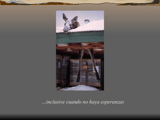 … inclusive cuando no haya esperanzas 