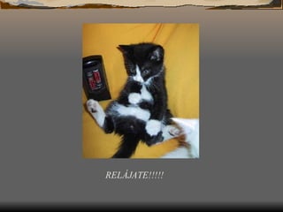 RELÁJATE!!!!!
