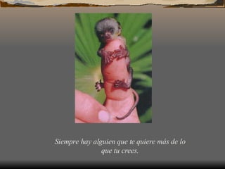 Siempre hay alguien que te quiere más de lo que tu crees.