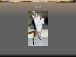REZA