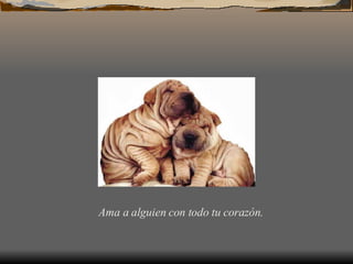 Ama a alguien con todo tu corazón.