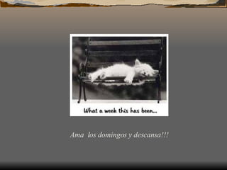 Ama los domingos y descansa!!!