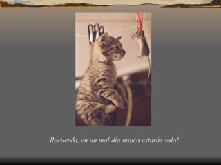 Recuerda, en un mal dia nunca estarás solo!