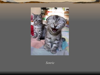 Sonrie