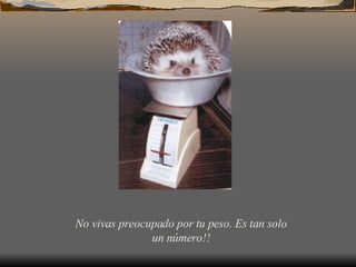 No vivas preocupado por tu peso. Es tan solo un número!!