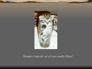 Siempre trata de ver el vaso medio lleno!