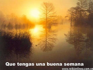 Que tengas una buena semana www.reikienlinea.com.ve 
