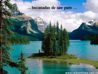 …  bocanadas de aire puro … www.reikienlinea.com.ve 
