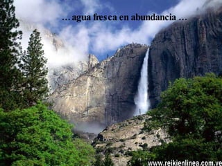 …  agua fresca en abundancia … www.reikienlinea.com.ve 