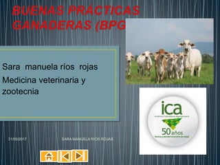 Sara manuela ríos rojas
Medicina veterinaria y
zootecnia
31/05/2017 SARA MANUELA RÍOS ROJAS
 