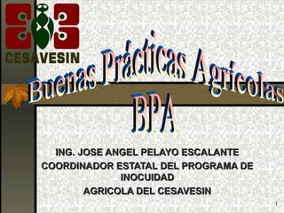 ING. JOSE ANGEL PELAYO ESCALANTE
COORDINADOR ESTATAL DEL PROGRAMA DE
              INOCUIDAD
        AGRICOLA DEL CESAVESIN
                                      1
 