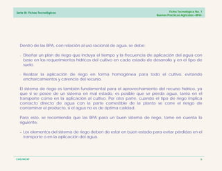 CAIS/INCAP
Serie III: Fichas Tecnológicas Ficha Tecnológica No. 1
Buenas Prácticas Agrícolas –BPA-
Dentro de las BPA, con relación al uso racional de agua, se debe:
- Diseñar un plan de riego que incluya el tiempo y la frecuencia de aplicación del agua con
base en los requerimientos hídricos del cultivo en cada estado de desarrollo y en el tipo de
suelo.
- Realizar la aplicación de riego en forma homogénea para todo el cultivo, evitando
encharcamientos y carencia del recurso.
El sistema de riego es también fundamental para el aprovechamiento del recurso hídrico, ya
que si se posee de un sistema en mal estado, es posible que se pierda agua, tanto en el
transporte como en la aplicación al cultivo. Por otra parte, cuando el tipo de riego implica
contacto directo de agua con la parte comestible de la planta se corre el riesgo de
contaminar el producto, si el agua no es de óptima calidad.
Para esto, se recomienda que las BPA para un buen sistema de riego, tome en cuenta lo
siguiente:
− Los elementos del sistema de riego deben de estar en buen estado para evitar pérdidas en el
transporte o en la aplicación del agua.
6
 