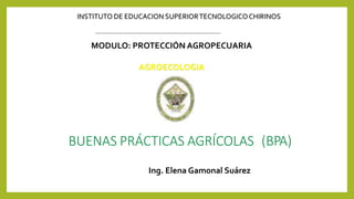 BUENAS PRÁCTICAS AGRÍCOLAS (BPA)
INSTITUTO DE EDUCACION SUPERIORTECNOLOGICOCHIRINOS
AGROECOLOGIA
Ing. Elena Gamonal Suárez
MODULO: PROTECCIÓN AGROPECUARIA
 