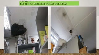 ART. 15°. R.M. N°585-99-SA/DM, Manual de Buenas Prácticas de Almacenamiento.
LOS TECHOS DEBEN SER FACILES DE LIMPIAR
 
