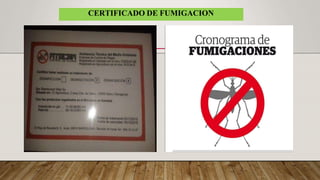 CERTIFICADO DE FUMIGACION
 