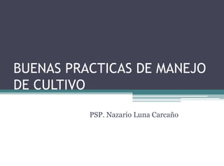 BUENAS PRACTICAS DE MANEJO
DE CULTIVO
PSP. Nazario Luna Carcaño
 