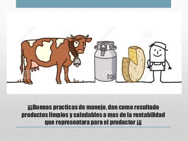 Buenas Practicas De Manufactura En Productos Lacteos es.slideshare.net
