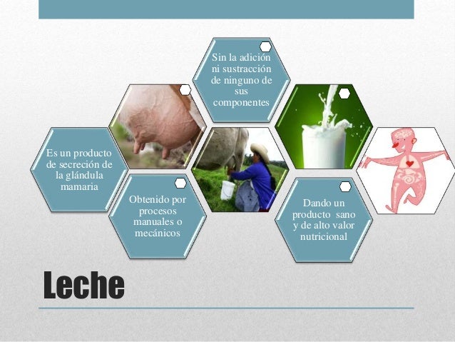 Buenas Practicas De Manufactura En Productos Lacteos es.slideshare.net