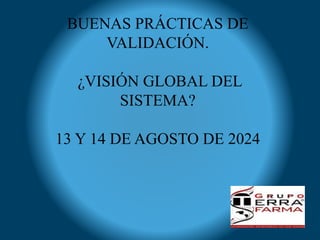 BUENAS PRÁCTICAS DE
VALIDACIÓN.
¿VISIÓN GLOBAL DEL
SISTEMA?
13 Y 14 DE AGOSTO DE 2024
 