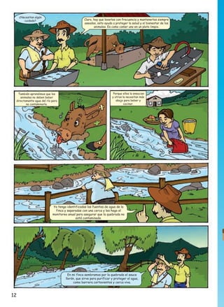 ¿Necesitan algún
cuidado?

Claro, hay que lavarlos con frecuencia y mantenerlos siempre
aseados, esto ayuda a proteger la salud y el bienestar de los
animales. Es como comer uno en un plato limpio.

También aprendimos que los
animales no deben beber
directamente agua del río para
no contaminarla.

Porque ellos la ensucian
y otros la necesitan más
abajo para beber y
cocinar.

Yo tengo identificadas las fuentes de agua de la
finca y separadas con una cerca y les hago el
monitoreo anual para asegurar que la quebrada no
está contaminada.

En mi finca sembramos por la quebrada el sauce
llorón, que sirve para purificar y proteger el agua,
como barrera cortavientos y cerca viva.

12

 
