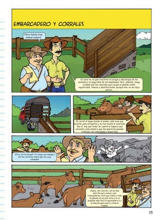 EMBARCADERO Y CORRALES
¡Pero hasta hizo
embarcadero!

Sí como no; es para facilitar el cargue y descargue de los
animales y la seguridad de los empleados. Pero, además, tengo
cuidado que los camiones que cargan el ganado estén
registrados, limpios y desinfectados, porque sino, no los dejo
entrar.

El corral sí sigue siendo el mismo, sólo tuve que
hacerle unos arreglitos y no fue mucha la inversión.
Eso sí, hay que tener en cuenta el espacio que
necesita cada animal y que los operarios puedan
trabajar con comodidad y seguridad.

¿Pero corral pa‛qué? Yo tengo una manga y
ahí los correteo hasta que los cojo
cansados

Ayyyy, don Jacinto, así es más
sencillo para usted y sus
trabajadores, mire que tiene a todo
el ganado en un solo sitio y lo va
pasando más fácil al apretadero o a
la báscula para que le rinda el
tiempo.

15

 