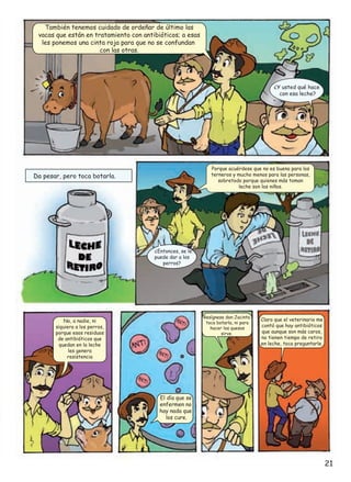 También tenemos cuidado de ordeñar de último las
vacas que están en tratamiento con antibióticos; a esas
les ponemos una cinta roja para que no se confundan
con las otras.

¿Y usted qué hace
con esa leche?

Porque acuérdese que no es buena para los
terneros y mucho menos para las personas,
sobretodo porque quienes más toman
leche son los niños.

Da pesar, pero toca botarla.

¿Entonces, se le
puede dar a los
perros?

Resígnese don Jacinto,
toca botarla, ni para
hacer los quesos
sirve.

No, a nadie, ni
siquiera a los perros,
porque esos residuos
de antibióticos que
quedan en la leche
les genera
resistencia

Claro que el veterinario me
contó que hay antibióticos
que aunque son más caros,
no tienen tiempo de retiro
en leche, toca preguntarle.

El día que se
enfermen no
hay nada que
los cure.

21

 