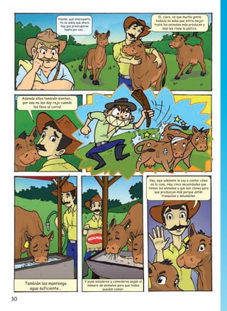 Hmmm, qué interesante,
Yo no sabía que ahora
hay que preocuparse
hasta por eso...

Sí, claro, es que mucha gente
todavía no sabe que entre mejor
trate los animales más producen y
más les rinde la platica.

Además ellos también sienten...
por eso no les doy rejo cuando
los llevo al corral

Vea, aqui adelante le voy a contar cómo
es la cosa. Hay cinco necesidades que
tienen los animales y que son claves para
que produzcan más porque están
tranquilos y saludables.

También les mantengo
agua suficiente…

30

Y puse saladeros y comederos según el
número de animales para que todos
puedan comer.

 