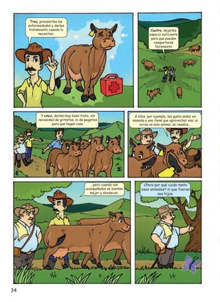 Tres, prevenirles las
enfermedades y darles
tratamiento cuando lo
necesiten.

Cuatro, dejarles
espacio suficiente
para que puedan
comportarse
libremente

Y cinco, darles muy buen trato, sin
necesidad de gritarlos, ni de pegarles
para que hagan caso.

...pero cuando van
acompañados se sienten
mejor y obedecen.

34

A ellos, por ejemplo, les gusta andar en
manada y uno tiene que aprovechar eso; si
arrea un solo animal, se resabia...

¿Pero por qué cuida tanto
esos animales? ni que fueran
sus hijos.

 