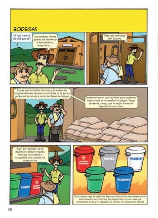 BODEGAS

¿Y esa caseta
de allá que es?

Las bodegas, donde
guardo los insumos y
la herramienta,
venga mira...…

Fíjese que los bultos de la sal y la melaza los
tengo levantados del piso y retirados de la pared,
porque así se airean y no se me llenan de hongos.

Pase con confianza
don Jacinto.

Podemos barrer con facilidad para mantener
limpio y que no se amañen las plagas. Tenga
presente, amigo, que la mejor forma de
espantarlas es el aseo.

Aquí, por ejemplo, ya no
dejamos la basura regada,
sino que reciclamos y
recogemos con cuidado los
desperdicios

En la caneca roja se echan los frascos vacíos de los tratamientos con
medicamentos veterinarios, los plaguicidas y otras cosas que
contaminan; en la gris, el papel y el cartón; en la blanca los vidrios

38

 