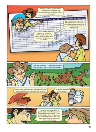 Póngale cuidado, aquí están las
labores para cada mes, que
organizamos con ayuda del médico
veterinario.

Las fechas de vacunación de
aftosa y brucella y para otras
enfermedades que dan por acá
y que nos estaban afectando la
reproducción;

también las purgas, los
baños y todo lo que se le
hace al ternero cuando nace,
tanto a las hembras como a
los machos.

Pero don Próspero, ¿y cómo se da cuenta
que todo esto que está haciendo sirve?

Porque desde que manejamos el plan sanitario han
mermado los abortos, han nacido más terneros,

se mueren menos los
recién nacidos...

...podemos sacar más rápido el
ganado gordo a sacrificio y son muy
pocas las pérdidas de leche y otros
problemas que antes teníamos, por
eso sacamos más carne y más leche.
Mejor dicho, haga de cuenta, que
ésta es una empresa.

43

 