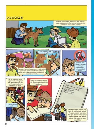 REGISTROS

Al nacer, cada animal se marca y se le abre un
registro para apuntar las vacunas, los pesos, los
partos, las crías y otros eventos.

¿Y eso para qué
sirve?

Pues para hacer el seguimiento a cada animal
y saber si vale le pena tenerlo o mejor
descartarlo. De esta manera, mi ganadería se
hace más eficiente.

No se preocupe, en la
capacitación nos dijeron
que se pueden llevar los
registros en cuadernos,
como hacía yo antes...

Hombre... don
Próspero, pero yo
no tengo
computador,
entonces, ¿qué
hago?

Venga le muestro uno de
los registros que tenía en
cuadernos

¿Y yo qué escribo
ahí?

Se empieza por abrirle una
hoja de vida a cada animal.
Para eso, desde que nace,
hay que identificarlo con un
número y es el que tendrá
toda la vida; como si fuera
una cédula.

46

 