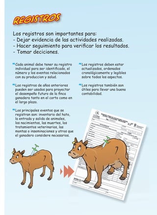 Registros
Los registros son importantes para:
- Dejar evidencia de las actividades realizadas.
- Hacer seguimiento para veriﬁcar los resultados.
- Tomar deciciones.
Cada animal debe tener su registro
individual para ser identiﬁcado, el
número y los eventos relacionados
con su produccion y salud.

*

Los registros de años anteriores

*útiles para llevar una buena

*

*pueden ser usados para proyectar

el desempeño futuro de la ﬁnca
ganadera tanto en el corto como en
el largo plazo.
Los principales eventos que se

*registran son: inventario del hato,

la entrada y salida de animales,
los nacimientos, las muertes, los
tratamientos veterinarios, las
montas o inseminaciones y otros que
el ganadero considere necesarios.

Los registros deben estar
actualizados, ordenados
cronológicamente y legibles
sobre todos los aspectos.
Los registros también son

contabilidad.

 