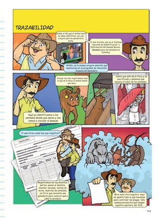 TRAZABILIDAD

Desde el día que el animal nace
se debe identificar con una
orejera para no perderle la
pista.

Sí don Jacinto, ese es el Sistema
Nacional de Identificación e
Información del Ganado Bovino SINIGÁN para los animales en
Colombia.

Ahhhh, es la misma orejera amarilla que
mostraron en el programa de televisión
Expedición Ganadera
Porque con eso registramos todo
lo que se le hace al animal desde
que nace...

...hasta que sale de la finca y es
sacrificado y sabemos que
mejora el valor de los animales.

Aquí ya identificamos a los
animales desde que nacen y nos
vamos a vincular al SINIGÁN

¿Y qué otras cosas hay que registrar?

Registramos los nacimientos,
partos, pesos al destete,
montas, vacunas, ventas de
leche, muertes de animales,
en fin lo que necesita una
ganadería para conocer qué y
cómo lo produce.

Mire este otro registro. Aquí
se apunta todo lo que hacemos
para controlar las plagas. Sólo
usamos productos que tengan
registro sanitario del ICA...

49

 