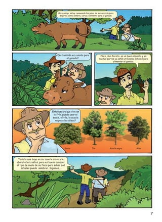 Mire amigo, estoy renovando los palos de matarratón para
dejarlos como sombra, cerca y alimento para el ganado.

¿Eso también es comida para
el ganado?

Claro, don Jacinto, es un buen alimento y en
muchas partes ya están utilizando árboles para
alimentar el ganado.

Entonces yo que vivo en
lo frío, puedo usar el
sauco, el tilo, la acacia
negra o los alisos?

Sauco

Tilo

Acacia negra

Aliso

Todo lo que haya en su zona le sirve y le
abarata los costos, pero es bueno conocer
el tipo de suelo de su finca para saber qué
árboles puede sembrar. Sigamos...

7

 